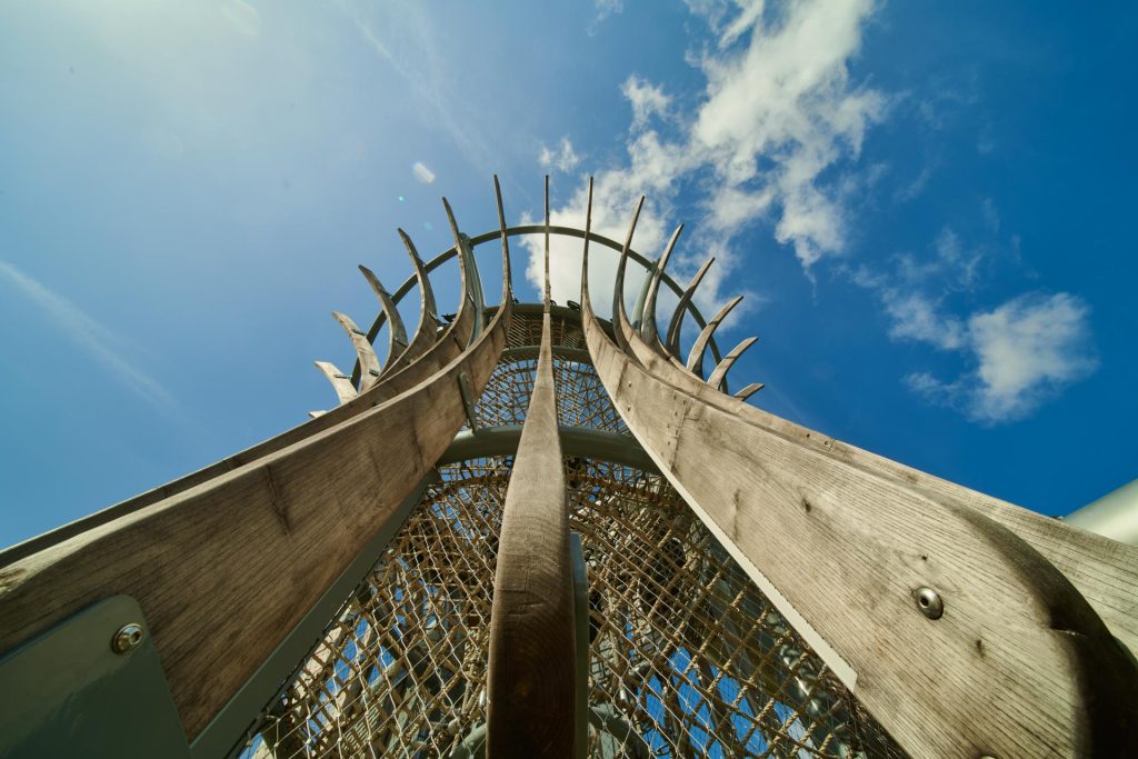 Upward view of the architecture at Gardens by the Bay against an open sky — singapore commercial photographer, corporate photographer singapore