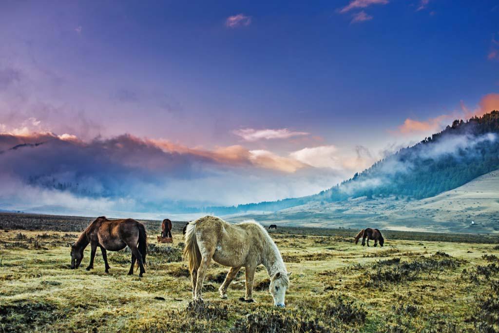 professional travel landscape nature photography. taken while hiking