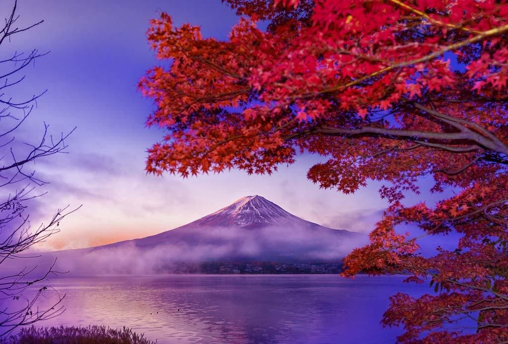 Snow-capped Mount Fuji above a misty lake at the blue hour, framed by red autumn leaves — professional travel landscape photography by a Singapore photographer